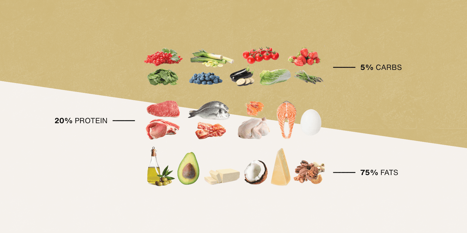 Keto’s epilepsy legacy doesn’t prove schizophrenia claims online
