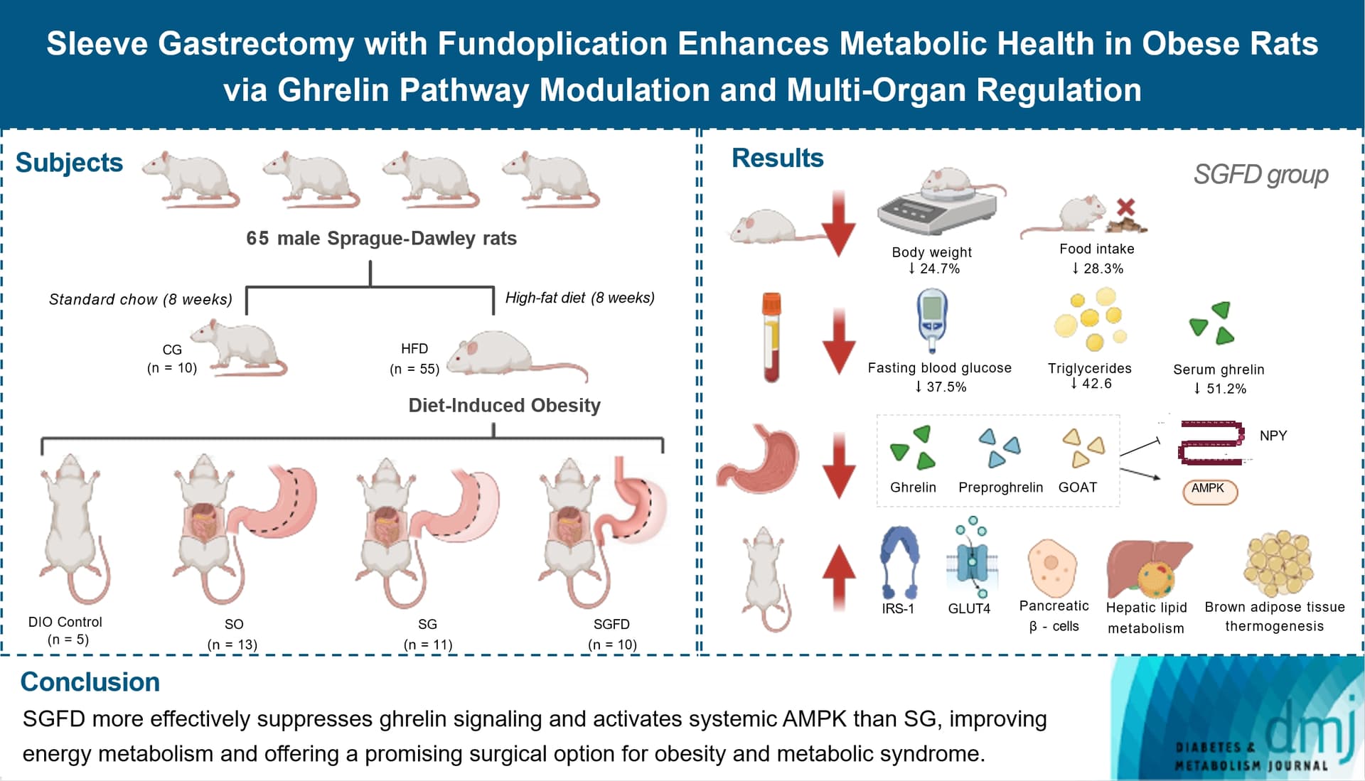 Ketogenic diet shows feasibility in women with endometrial cancer