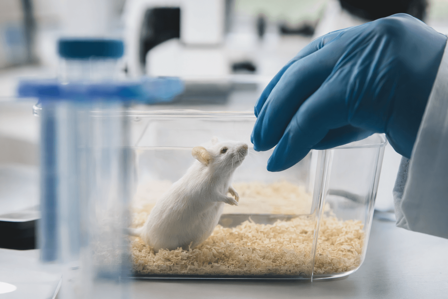 Ketogenic diet eases autoimmune thyroiditis in mice, study finds
