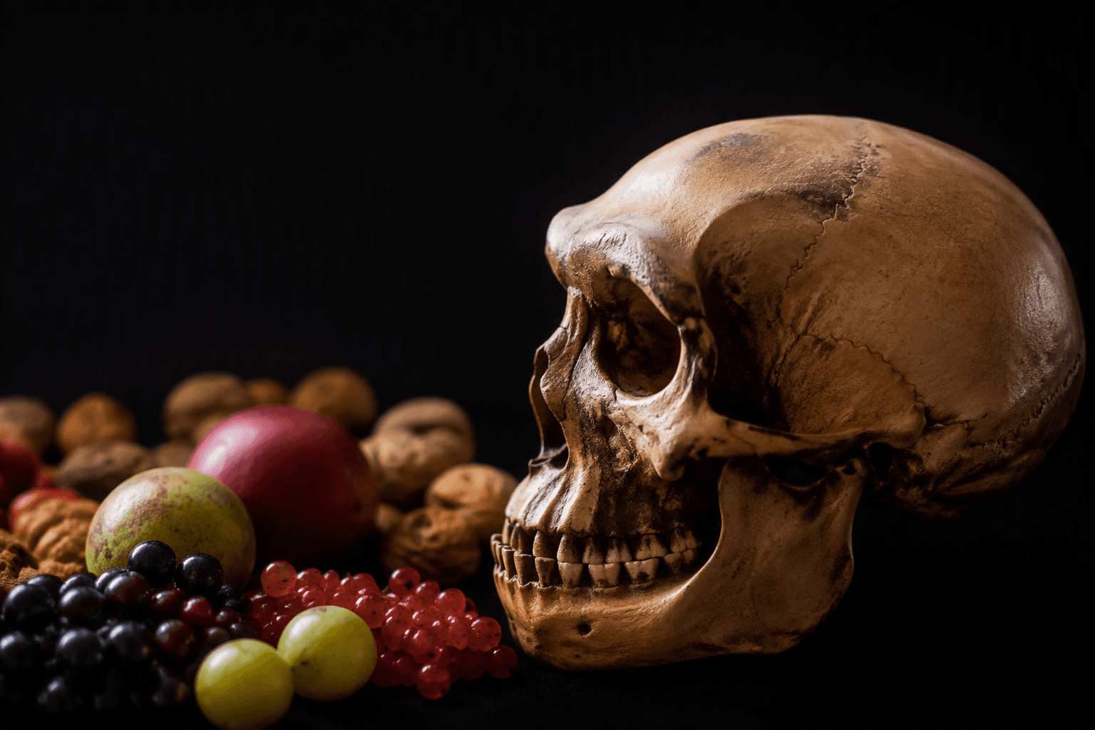 Study challenges the idea that human brains evolved on keto