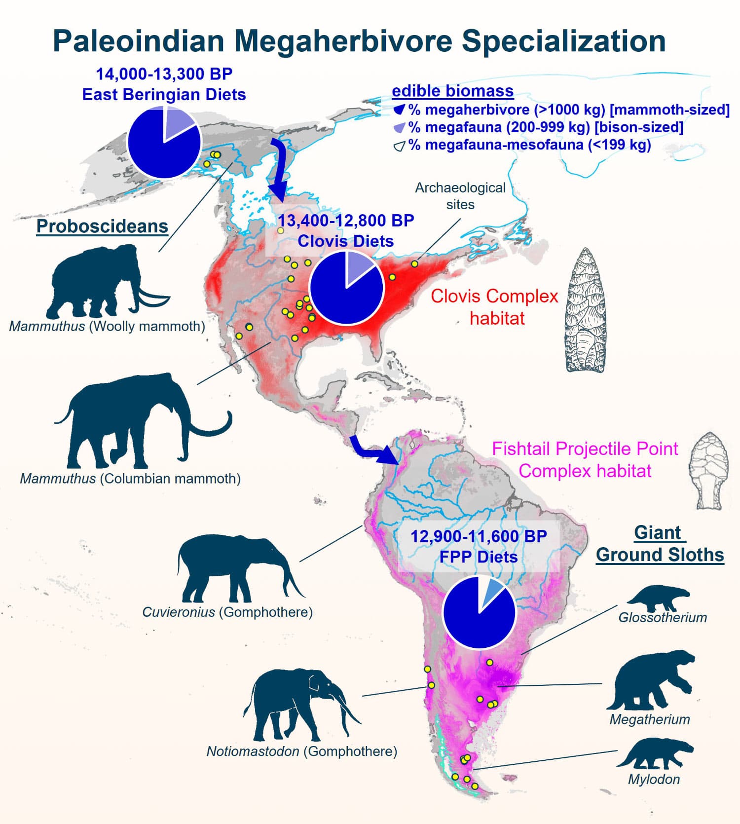 Ancient Americans may have thrived on a megafauna-heavy keto diet