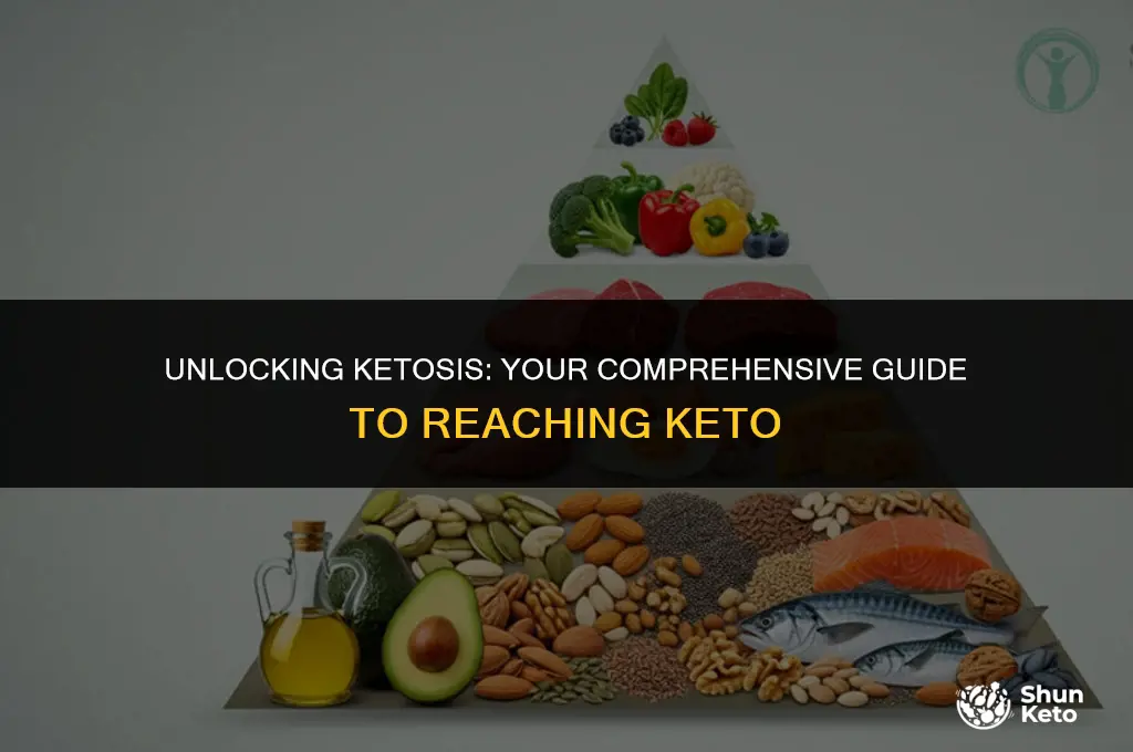 ShunKeto guide explains how to enter ketosis and stay there