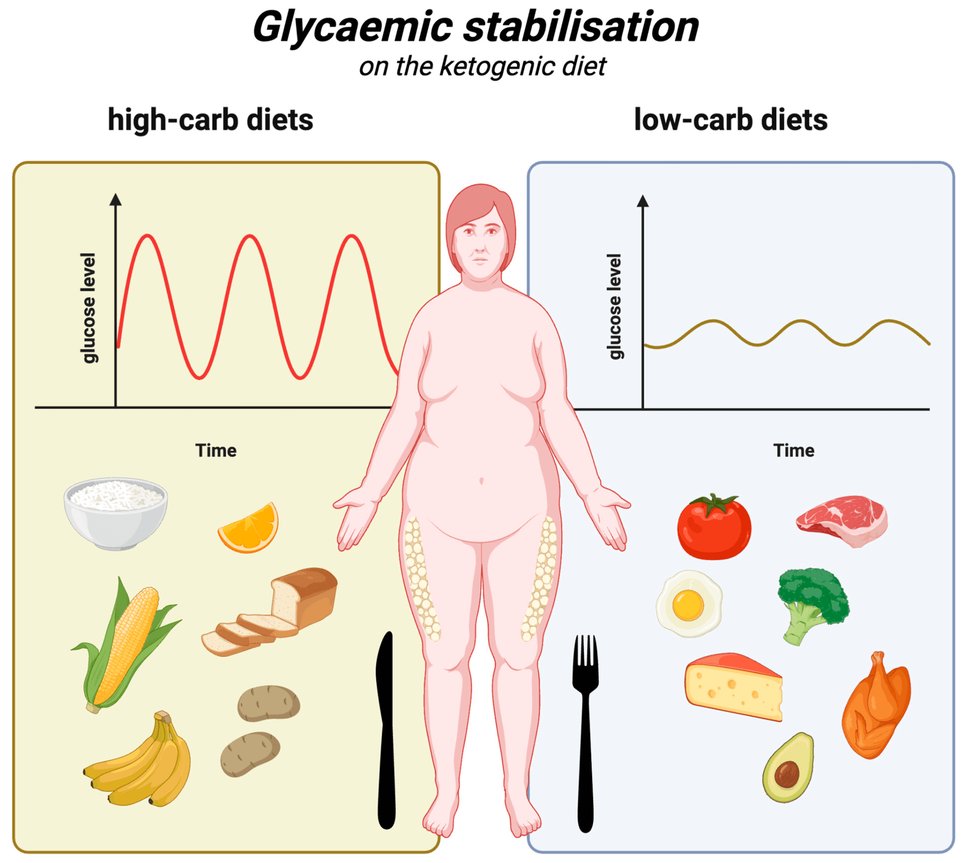 Ketogenic diet with refeeding helps women keep weight loss at one year
